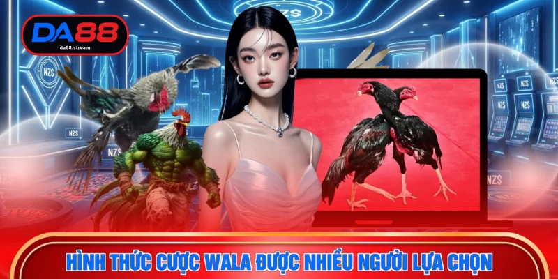 Hình thức cược Wala được nhiều người lựa chọn