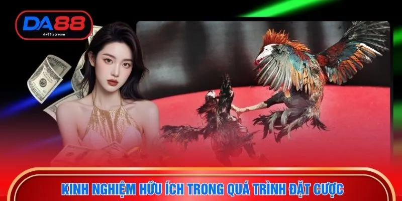Kinh nghiệm hữu ích trong quá trình đặt cược