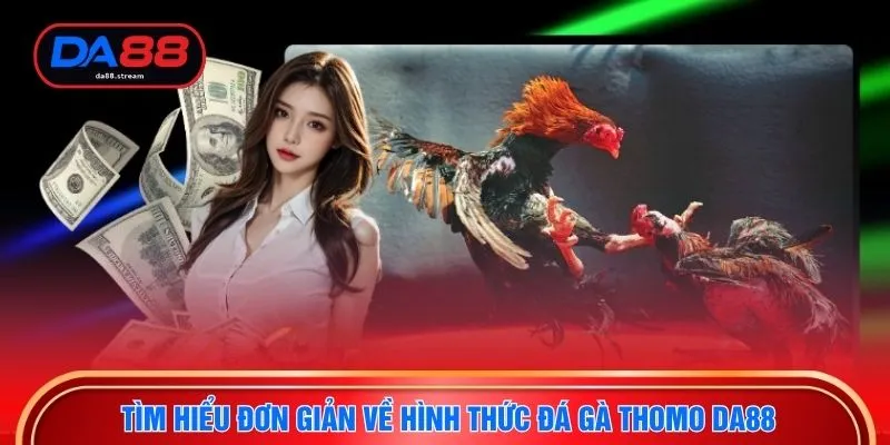 Tìm hiểu đơn giản về hình thức đá gà Thomo DA88
